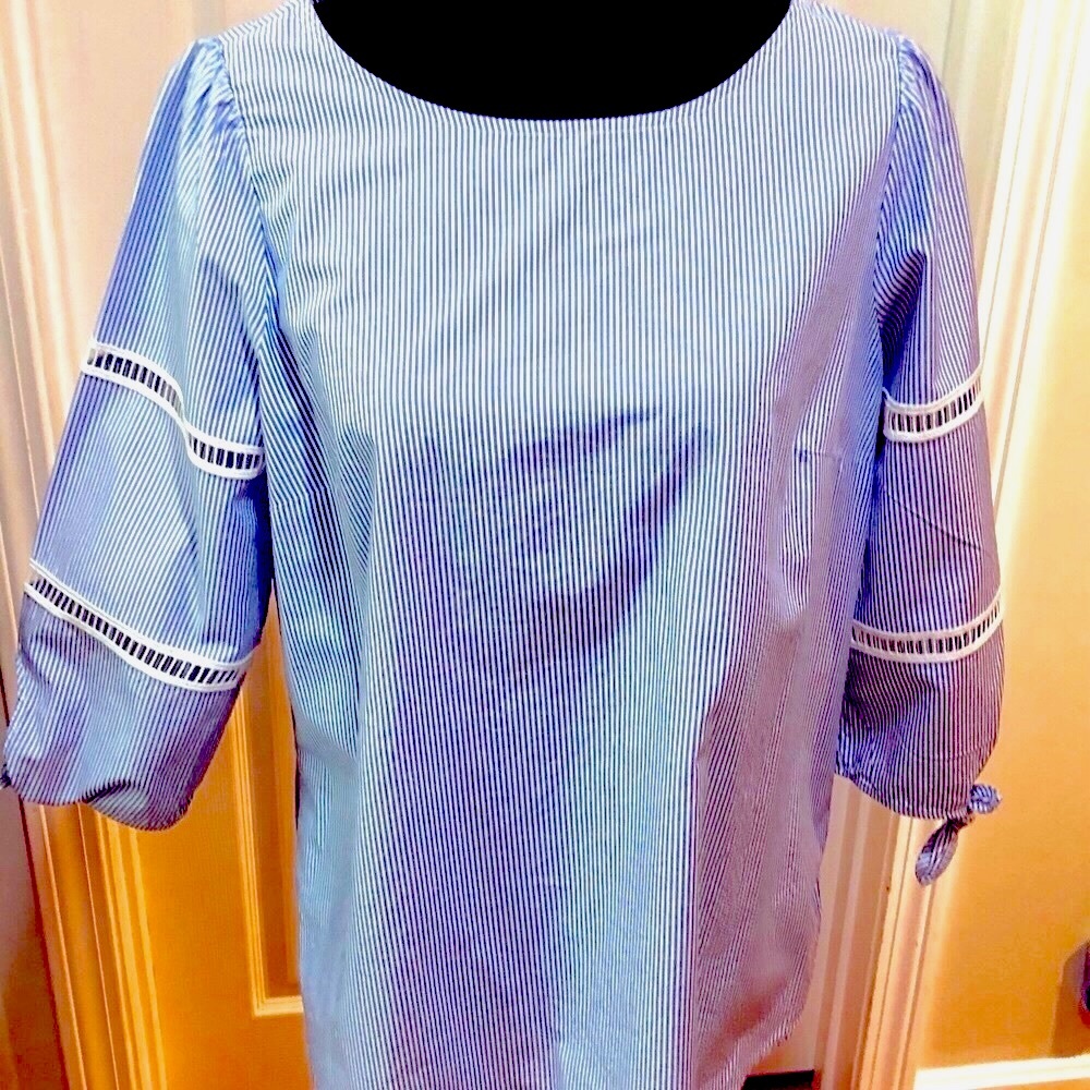 Talbots Blue & White Popover Size LP